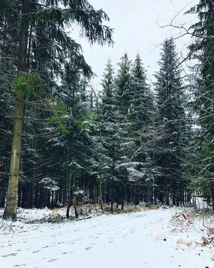 Beskid Wood Houses Jasnowice Ngoại thất bức ảnh